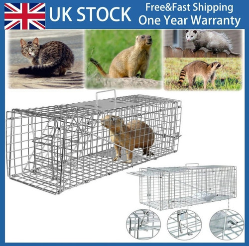 Live animal cage trap - animal,