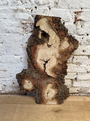Waney edge live - oak, tiger