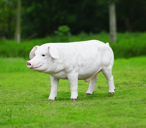 Pig farmyard garden - farmyard,