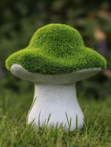 Garden ornament toadstool - garden,