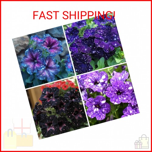 500 starry sky petunia seeds - petunia,
