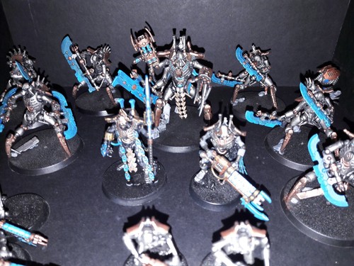 Small necron army - small,