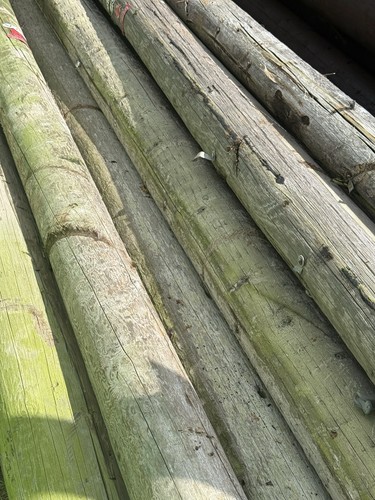 Telegraph poles - telegraph, (delivered)