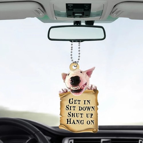 New funny bull terrier dog - terrier, get