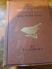 The Birds Of The British Isles