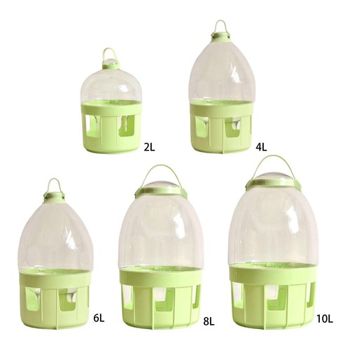 Pigeon water dispenser - pigeon,