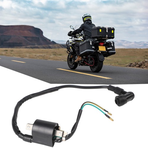 12v ignition coil for atv - ignition,