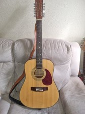 Tanglewood 12-string Electro-Acoustic Guitar Model: Earth100E 12 N & Hiscox Case