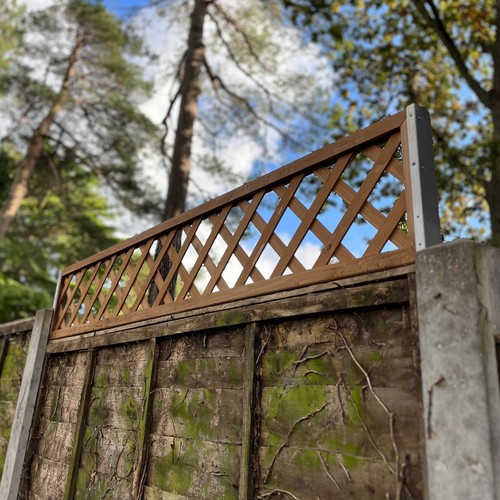 Fence topper trellis - x,