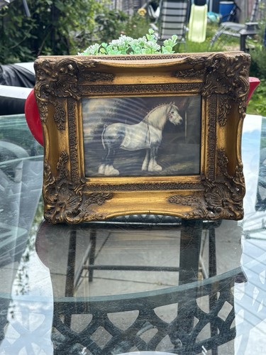 Vintage shire horse erfyl - shire,
