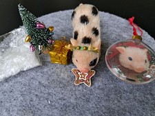 Micro Piglet Pet Mini Silicone