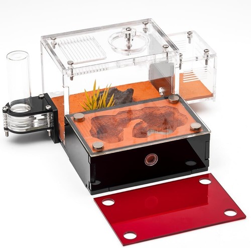 Acrylic ant farm - acrylic,