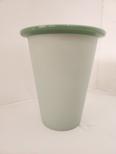 Ikea vase and plant - 1,