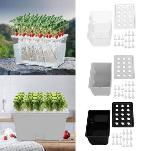 Hydroponic growing system kit - hydroponic,
