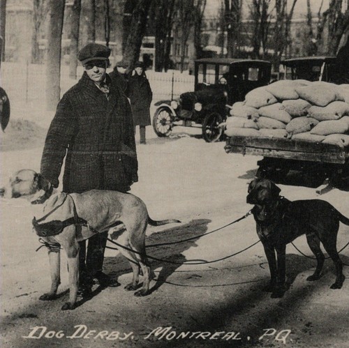 Sled dog derby - derby, 1920s