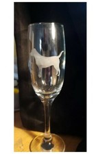 Etched glass designs shooting