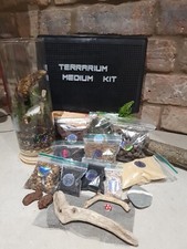 Terrarium Kit DIY Plants /