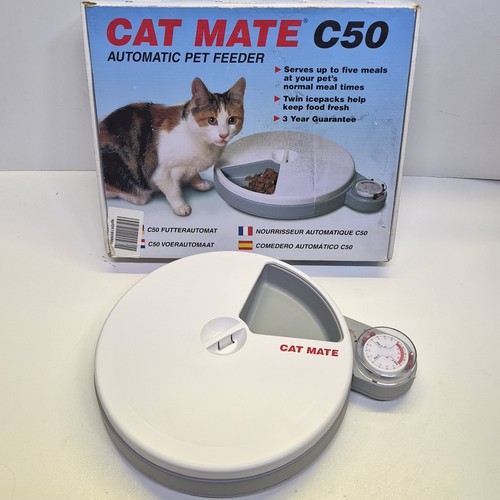 Boxed cat mate - cat,