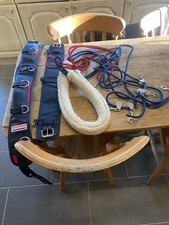 Genuine John Whitaker Lunging