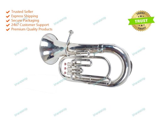 India musical instrument - india,