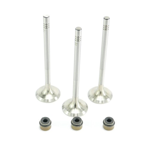 Exhaust valve set for - set, vw