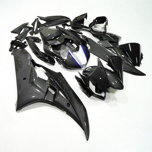 Carbon fiber painted - fiber, fairing