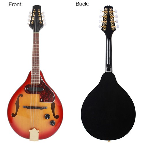 Electric mandolin style - a—electric,