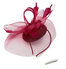 Ladies Feather Beak Clip /