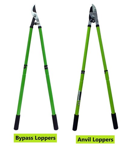 Branch pruner extending - pruner,