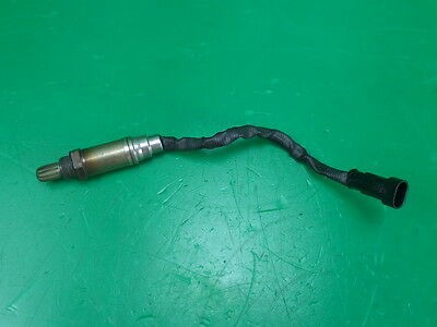 Harley davidson xr1200 probe - davidson,