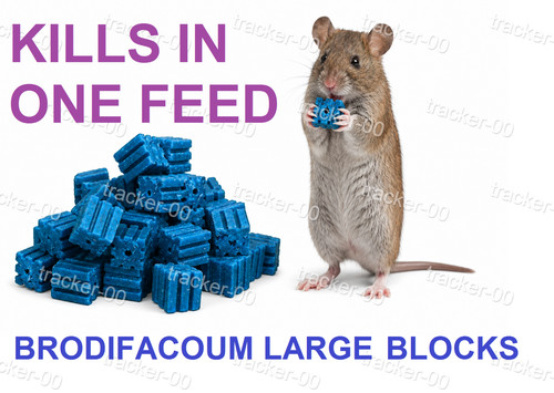 Rat poison feed - poison, &