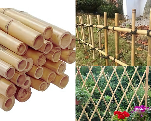 2ft bamboo canes - strong, heavy