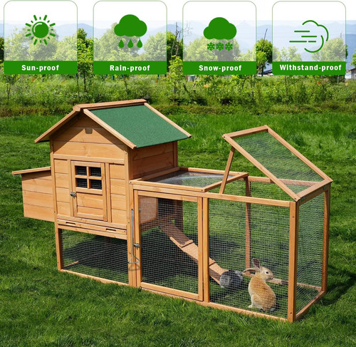 Chicken coop with - chicken, run