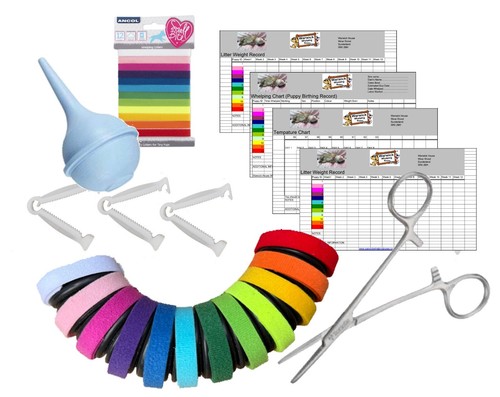 Puppy whelping kit - whelping,