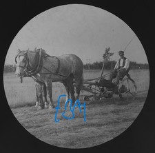 Photo SMALL HORSE DRAWN PLOUGH