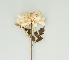 Gisela Graham Antique Cream