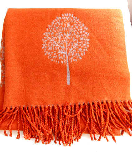 Cashmere scarf long soft - scarf, -soft