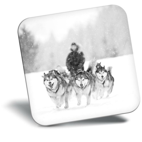 Awesome fridge magnet - awesome, bw
