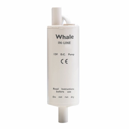 Whale premium line - whale,