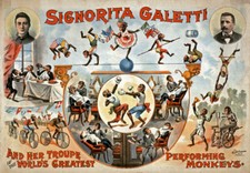 TH65 Vintage Circus Monkeys