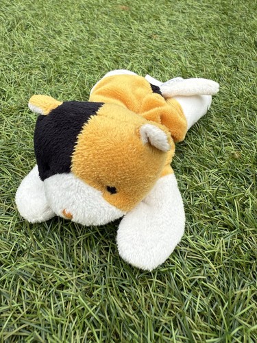 The cuddle crew calico cat - the,