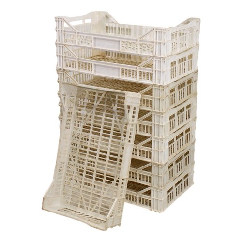 Used potato chitting - chitting, trays