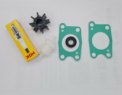 Service kit for honda - ,