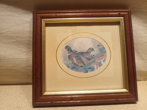 Sharon jervis bird miniatures - sharon,