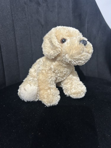 Bailie the golden retriever - the,