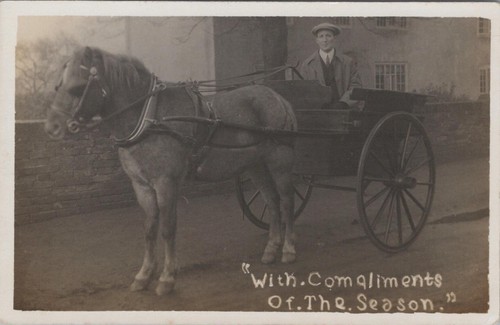 Horse transport postcard - postcard,