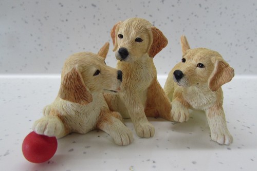 Border fine arts dog - border, golden
