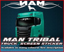 MAN TRIBAL Truck screen