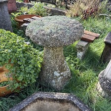 Antique Vintage Garden