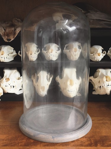Antique look glass display - antique,